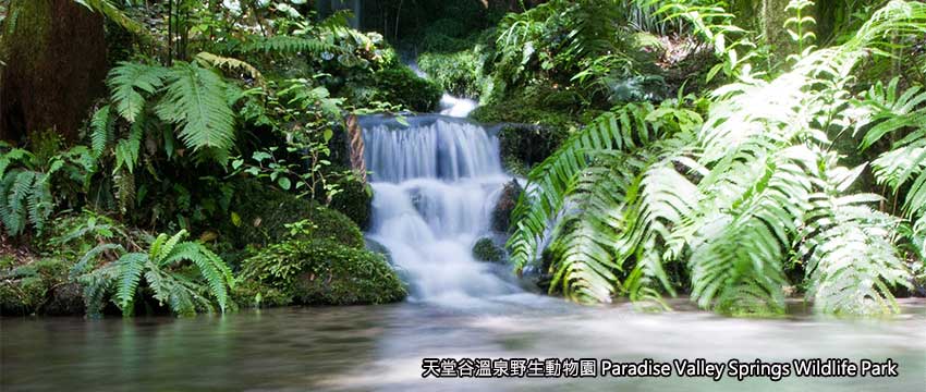 天堂谷溫泉野生動物園 